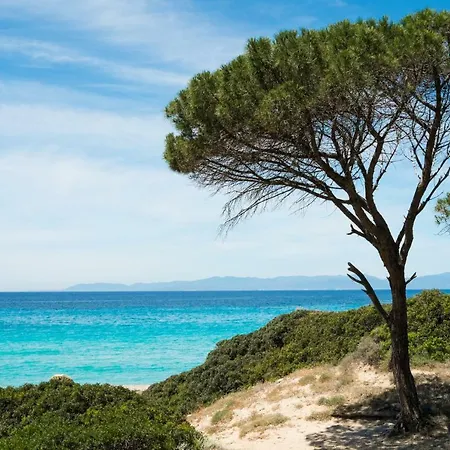 Stylish Apt Three Mins From Poetto Hotel